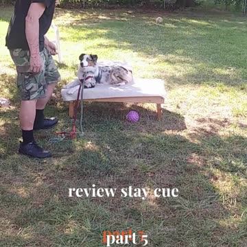 Ruff Cut PodCast Leash Handling part 5 cut 4