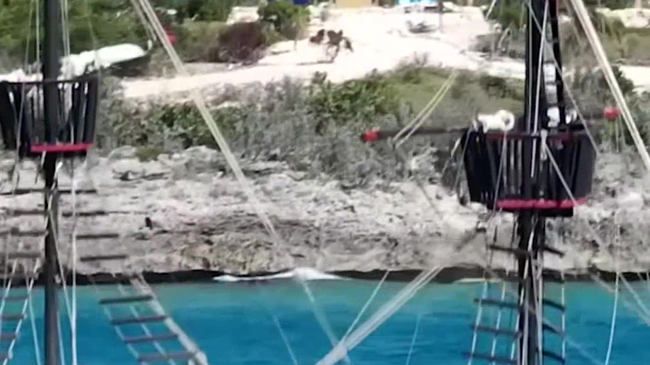 Survivor Show's Shocking Challenge: Dare to Dangle for a Private Island!