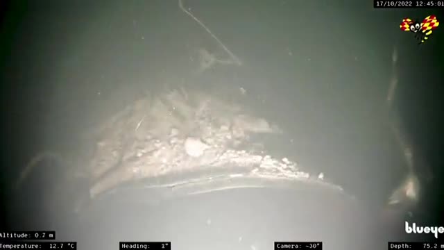 First footage of Nordstream pipelines after undersea attack