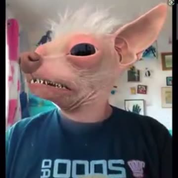 "Illusionist Rebel's management team feels that him going after people is a publicity stunt"