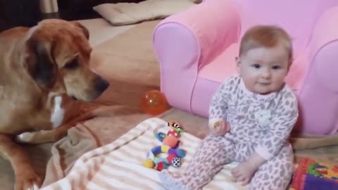 baby playing with the little dog.