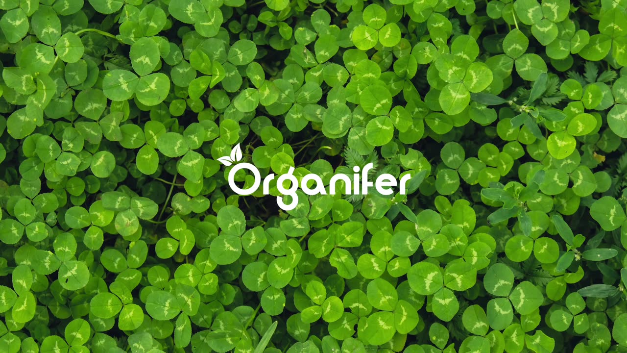 Micro Clover • Organifer