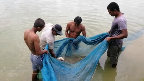 Fish catching