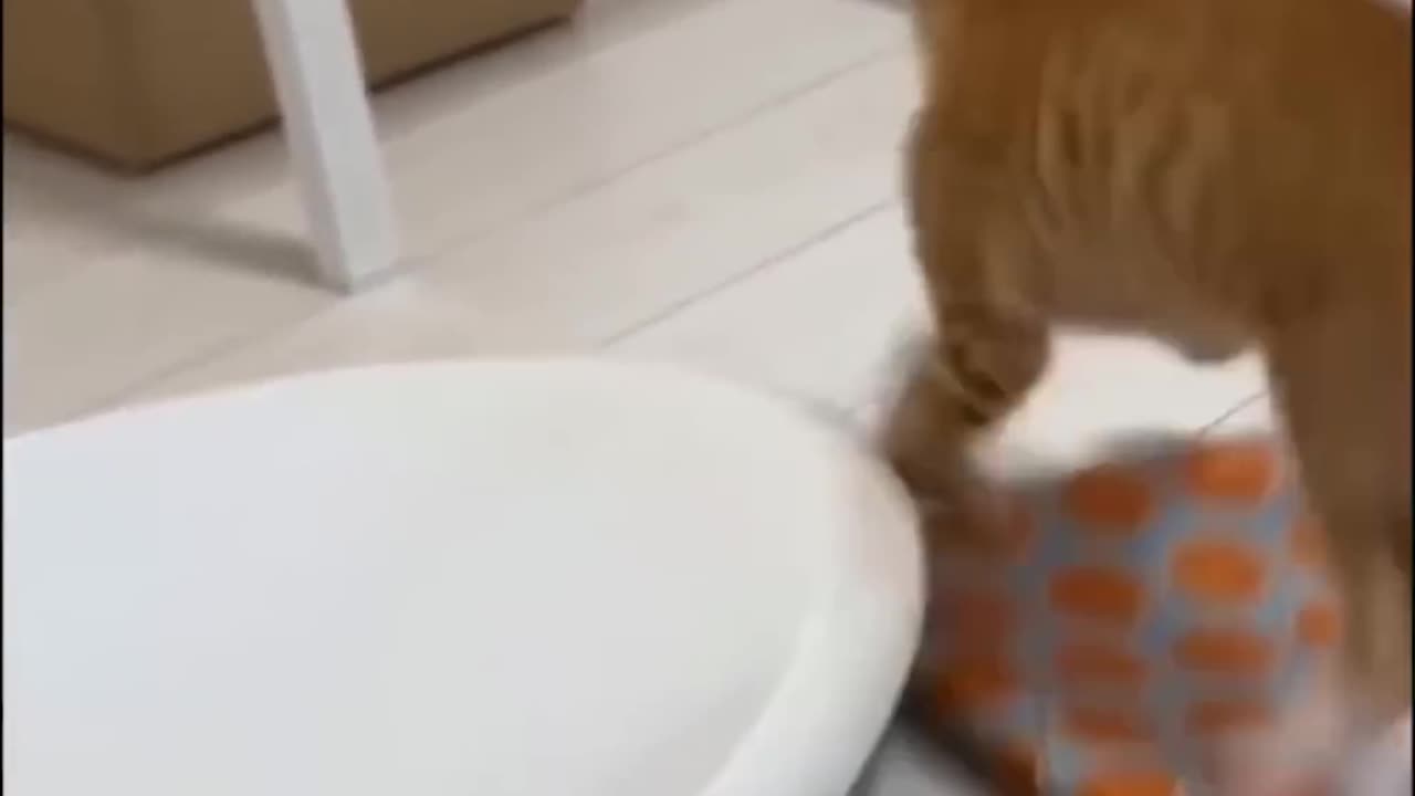 😍 The Cutest Pets: A Compilation You Need to See! Part10