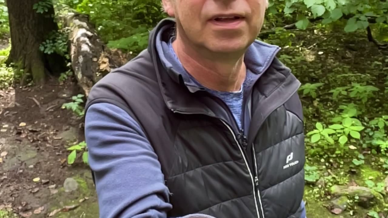 Hand Feeding Wild Birds in the Forest