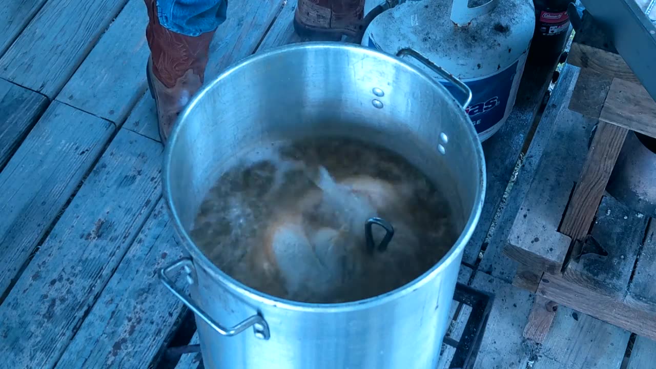 Deep Fried Turkey