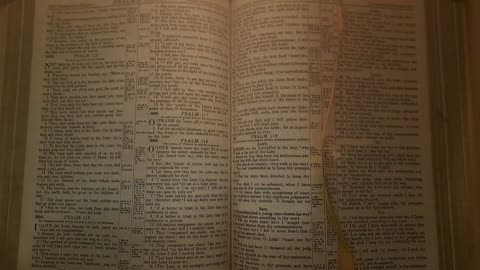 Psalm 117