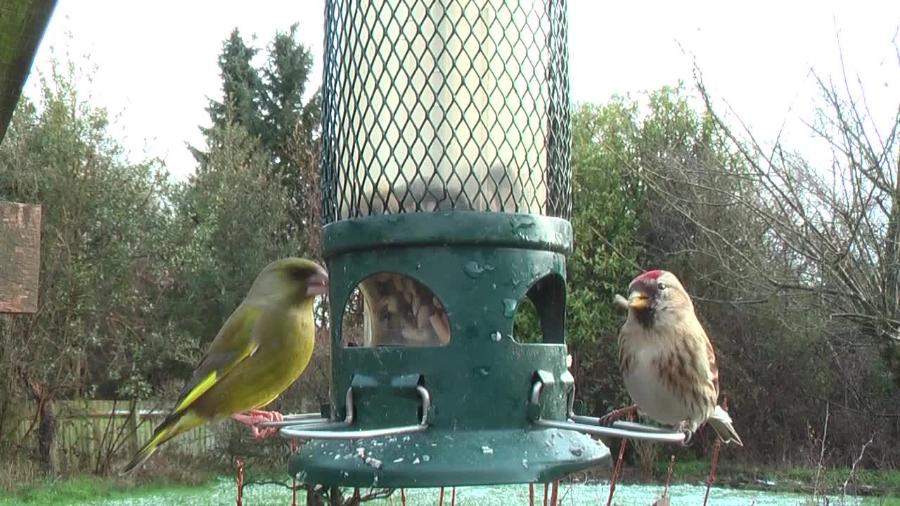 Nuthatch Garden