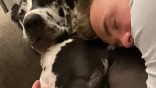 What Happens When Dogs And Humans Switch Cuddling Roles?