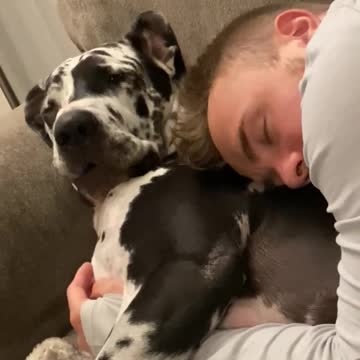 What Happens When Dogs And Humans Switch Cuddling Roles?