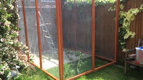 How To Build An Aviary! Complete GUIDE and Tutorial