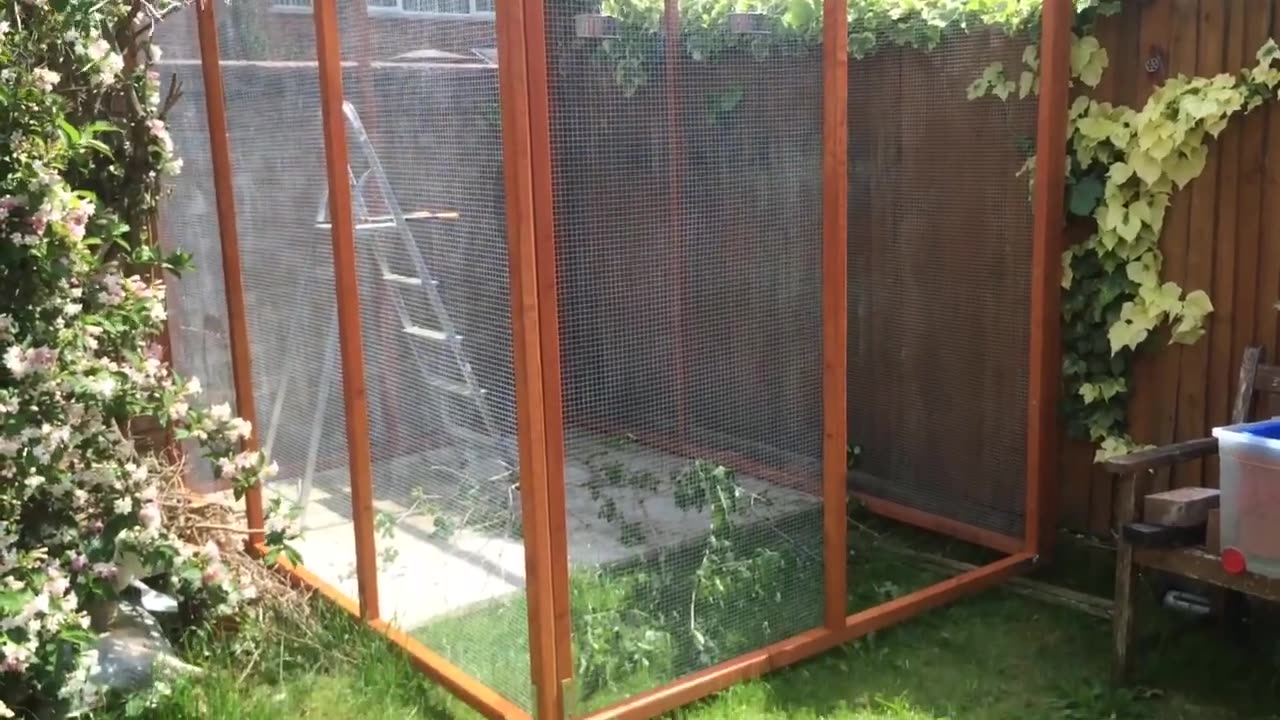 How To Build An Aviary! Complete GUIDE and Tutorial