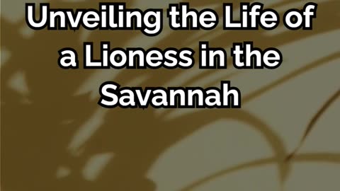 the life of lions in savannah