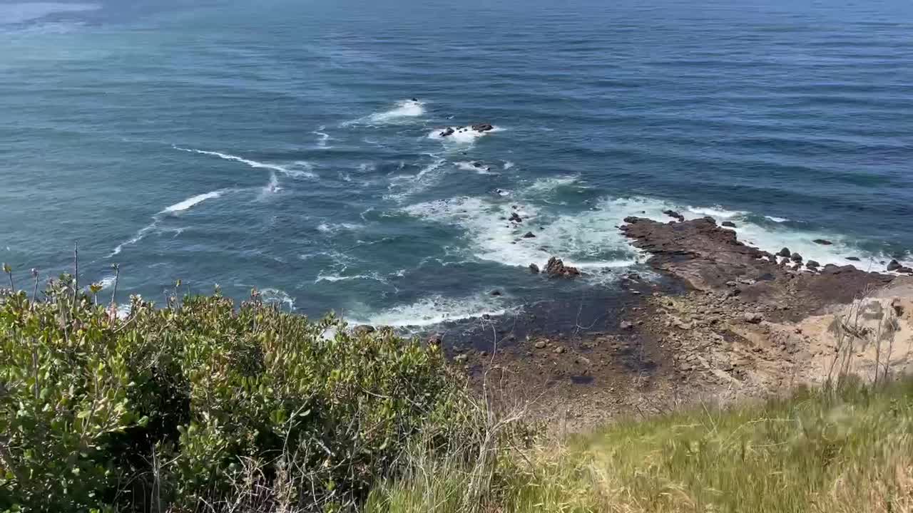 pacific from Rancho palos verdes bluff