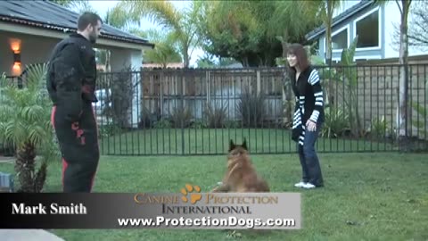 Elite Protection Dogs The Final Security for Family and Home