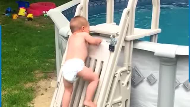 These little ones are learning their first swimming lesson!!🥰🌊