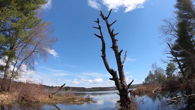 Beautiful Spring Scenery