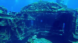 Chrisoula K Wreck Red Sea