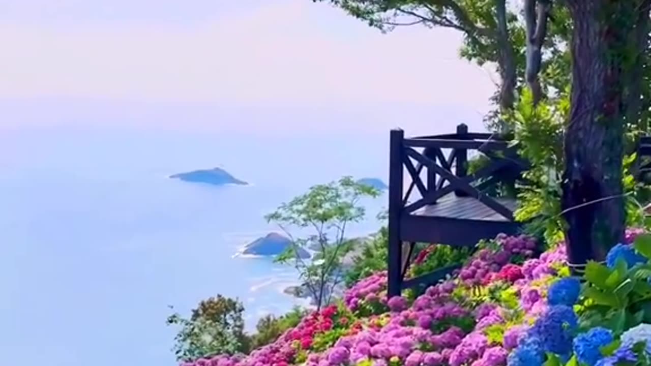 Beautiful Garden