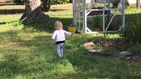 Dog playing kids