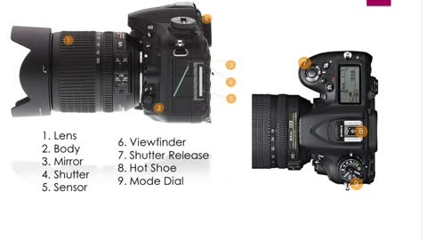 Parts Of A Camera