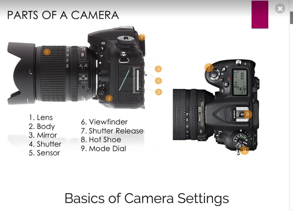 Parts Of A Camera