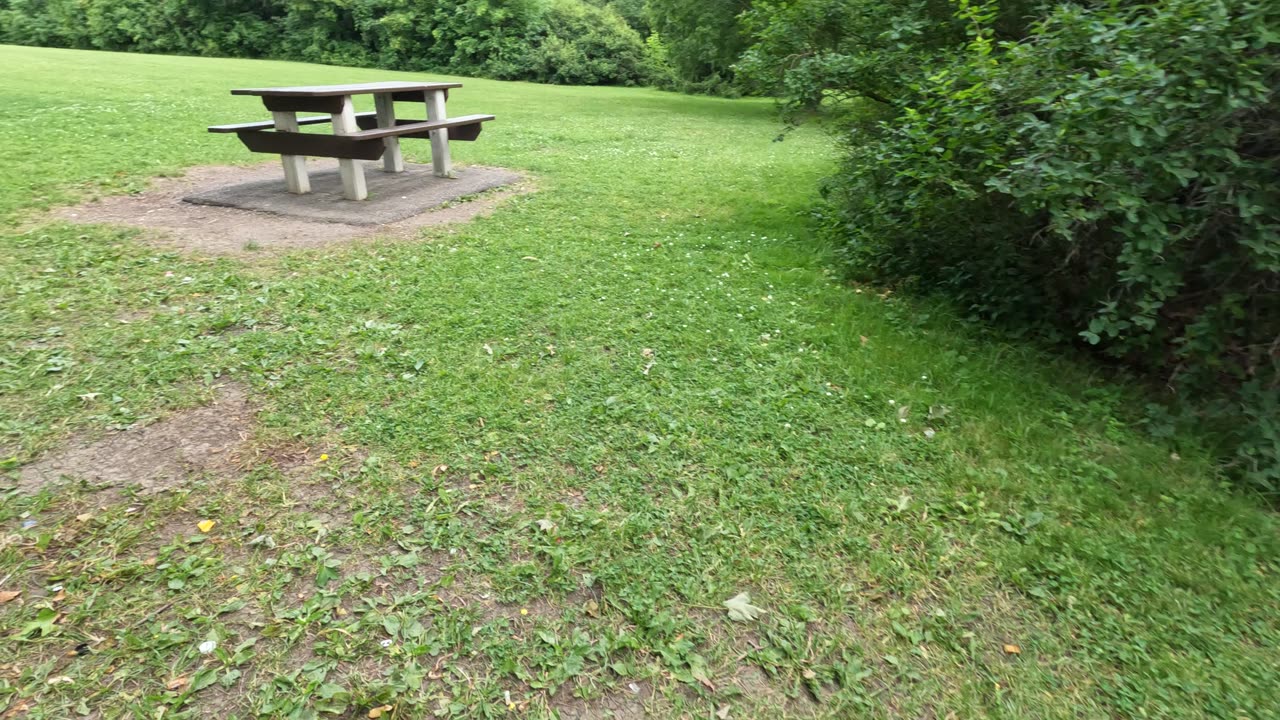 🍁 Picking Up Liter🗑️ @ Vincent Massey Park #43 In Ottawa 🌞