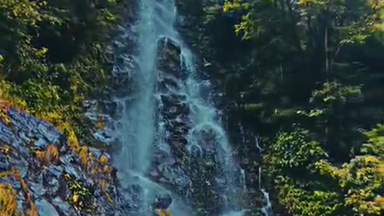 Incredible waterfall in india 🫶🏻💓