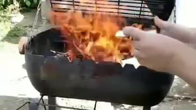 Burn Passport, Burn!