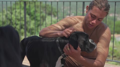 Man petting his dog on a terrace