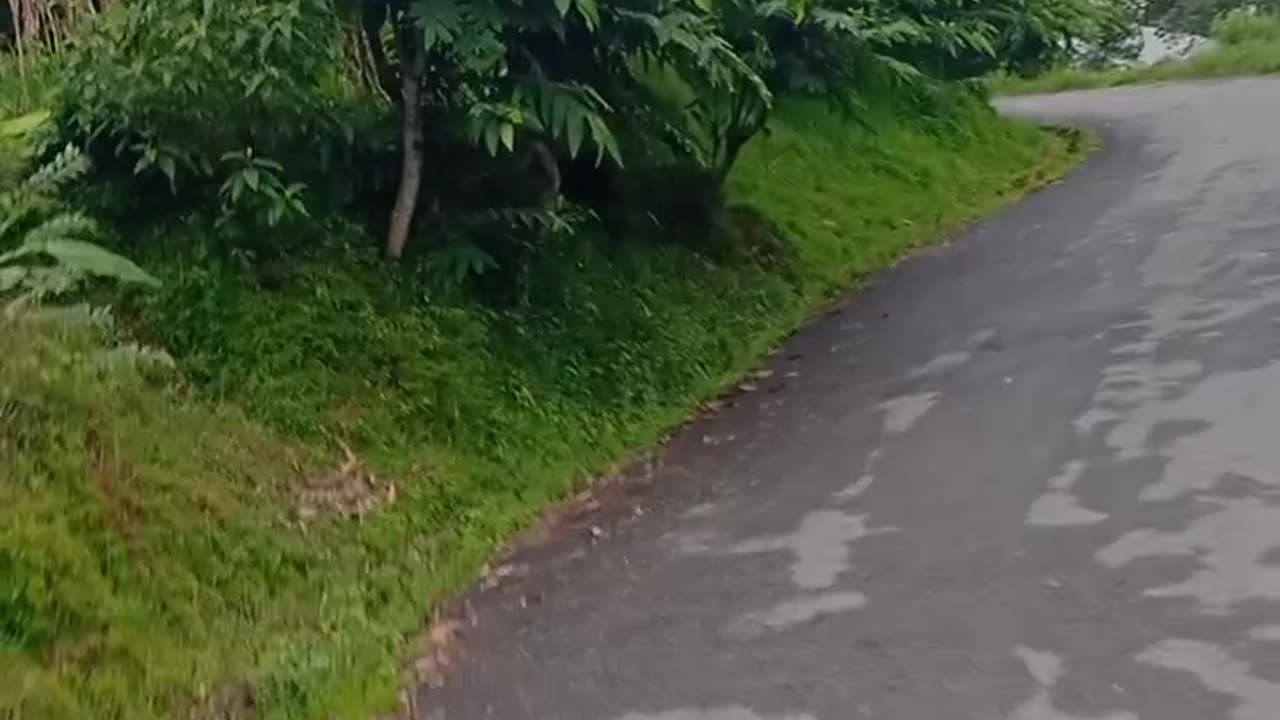 Way of waling to chapakot