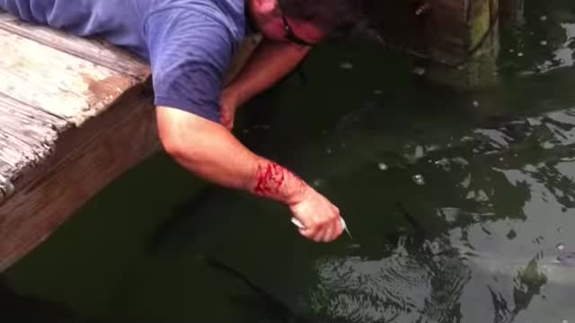 A fish caught Man's hand