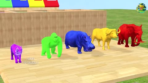 Long Slide Game With Elephant Gorilla Buffalo Hippopotamus Tiger - 3d Animal Game Funny 3d Animals