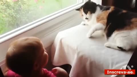 Child and funny cats playing