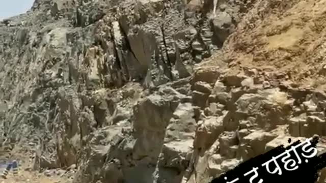 The camel fall then it down on the hill