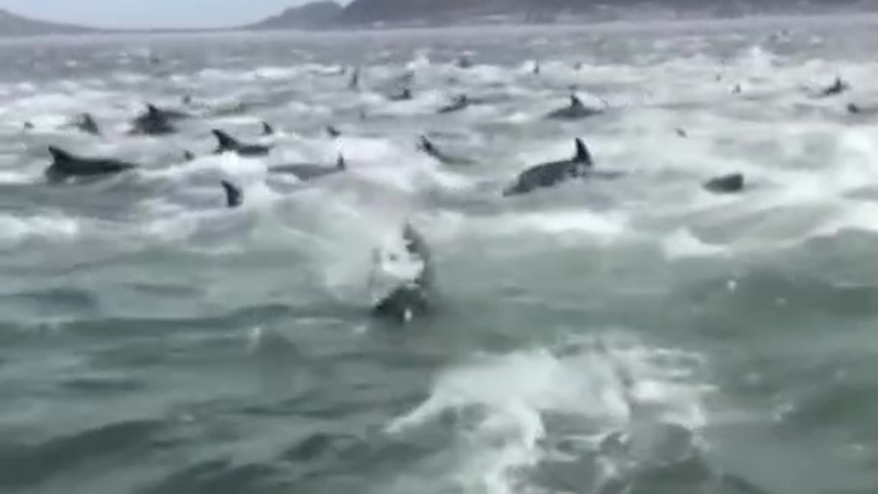 Strange phenomenonđŸ˜³đŸ¤—This scene took place in South Africa #BIBLICAL