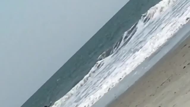 Guy on white surfboard gets blown over by wind