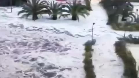 Видео из Сочи, где стихией повалило около 70 деревьев, повреждены остановки и кровля домов