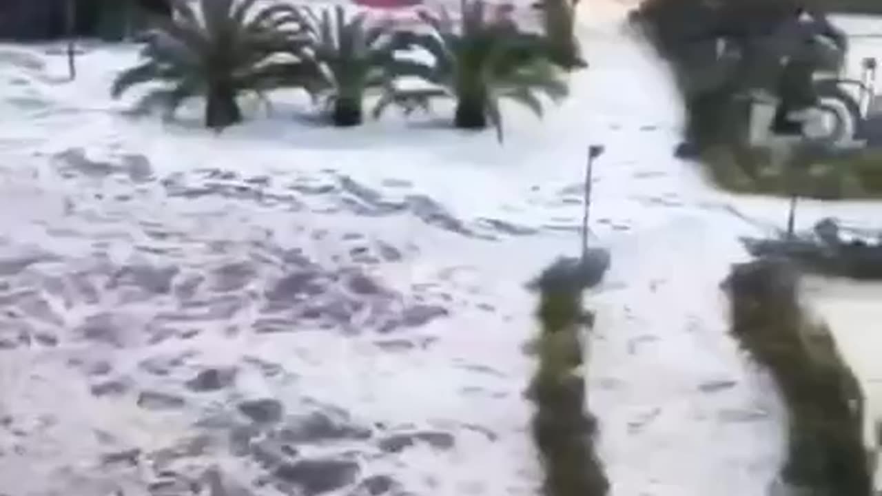 Видео из Сочи, где стихией повалило около 70 деревьев, повреждены остановки и кровля домов