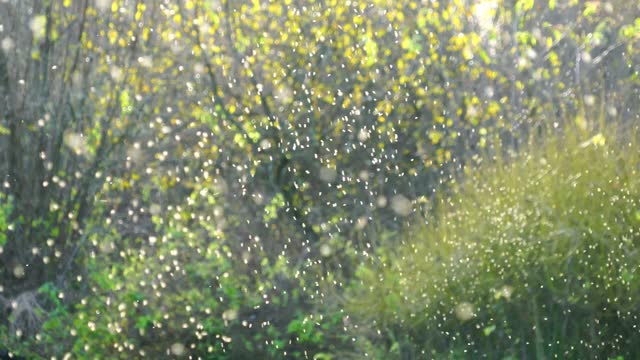 Relaxing Music • deep sleep, study music, mediation, stress relief