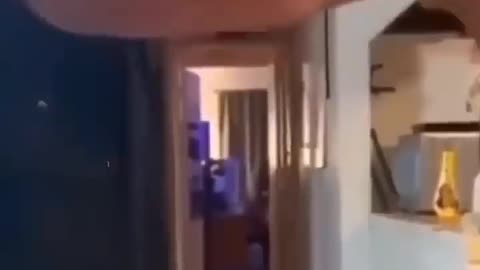 Goofy MEME
