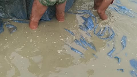 Catching fish in Pond in Nepal