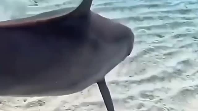 Do much love in this video