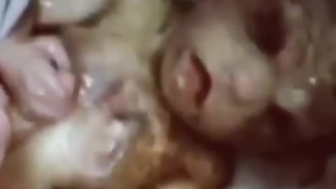 The evil dna manipulation underground