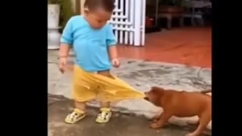 Dog 🐕 funny video 😜😜