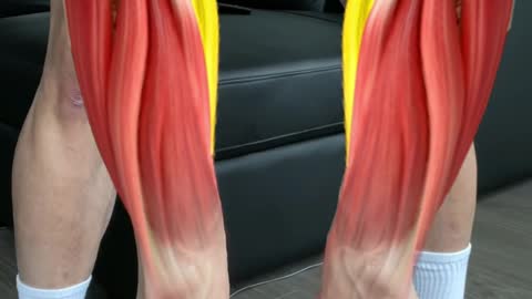 Grow bigger forearms fast