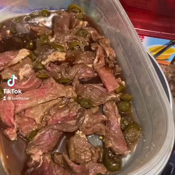 Beef jerky dehydrator