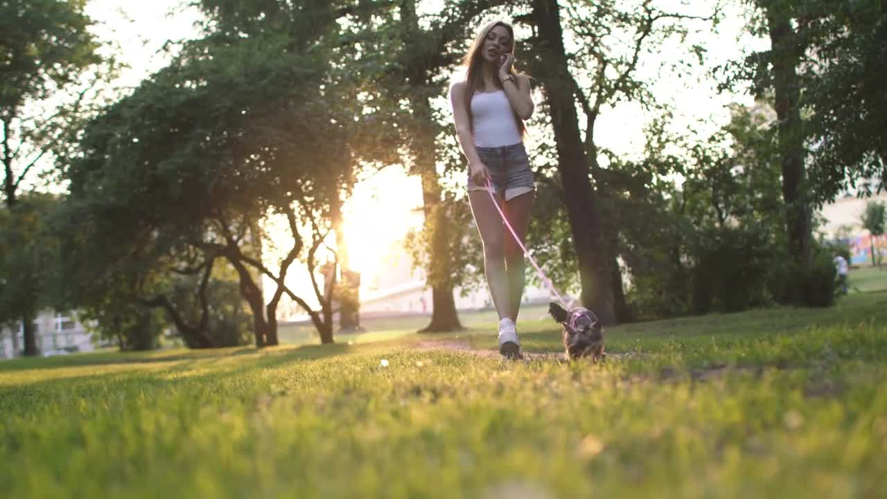 eautiful Girl Walking With Her Small Dog In The City Park And Using Smartphone