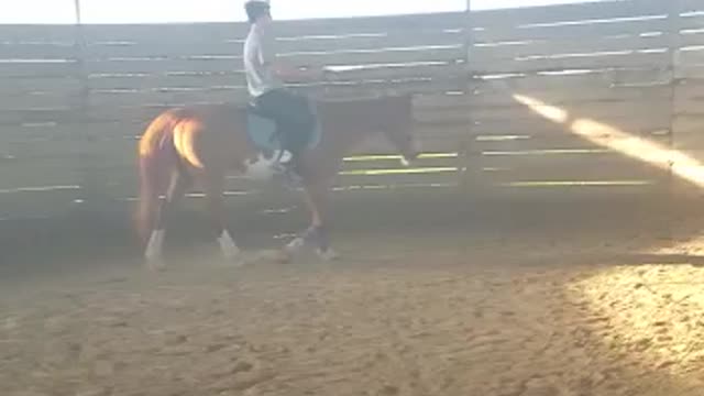 Girl makes older brother ride her horse