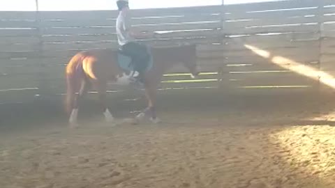 Girl makes older brother ride her horse